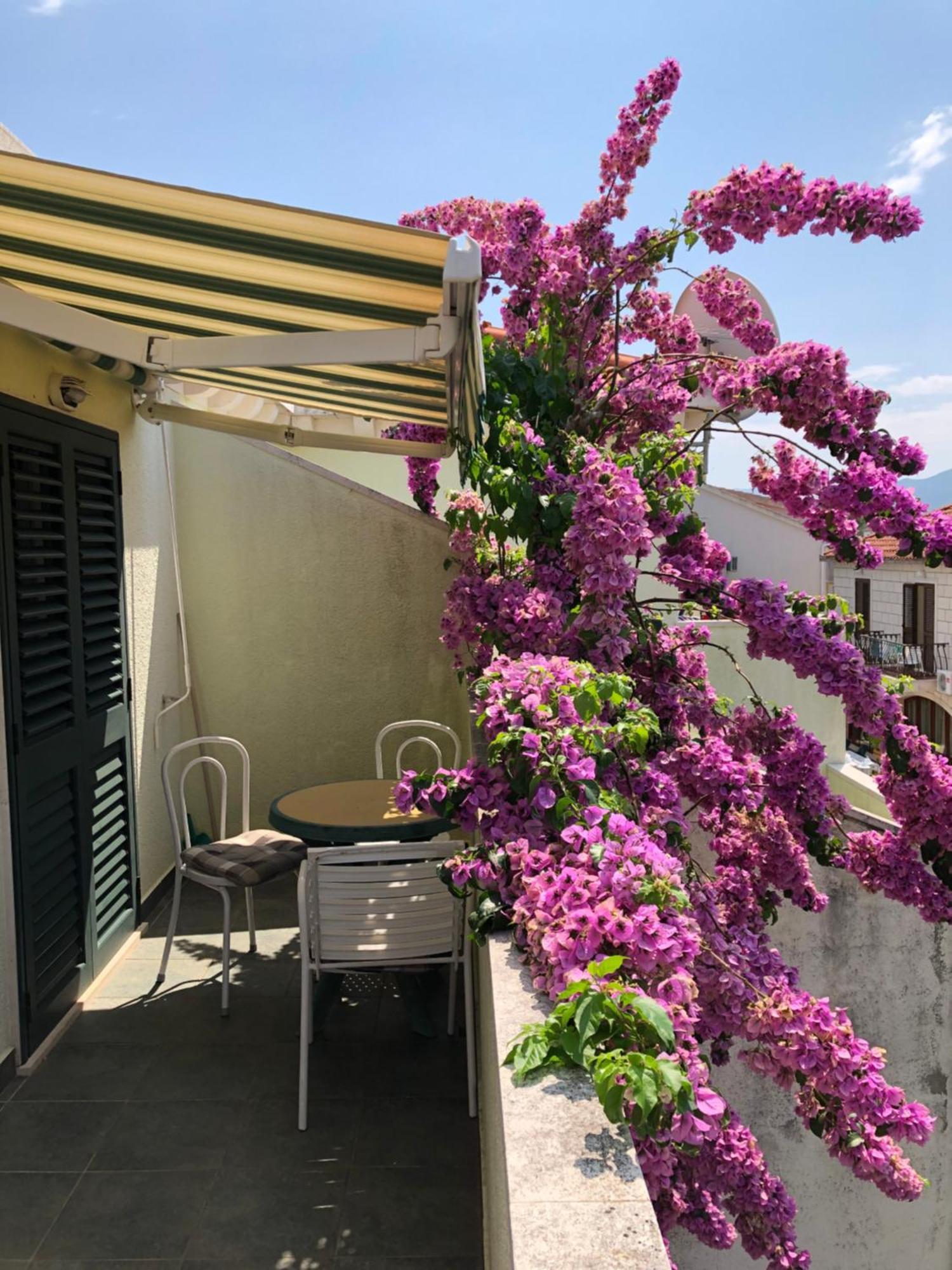 Villa Marijana Sreser Oda fotoğraf